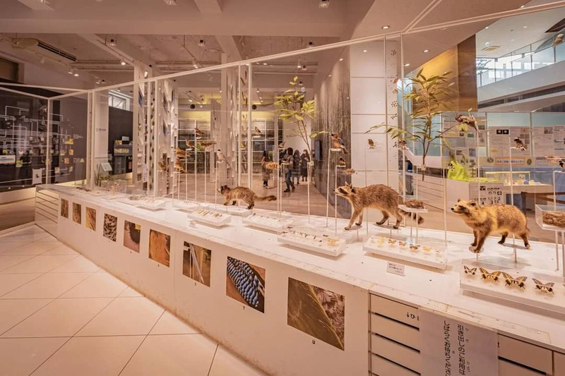 Hành trình khám phá thành phố Kawasaki Nhật Bản tự túc 15