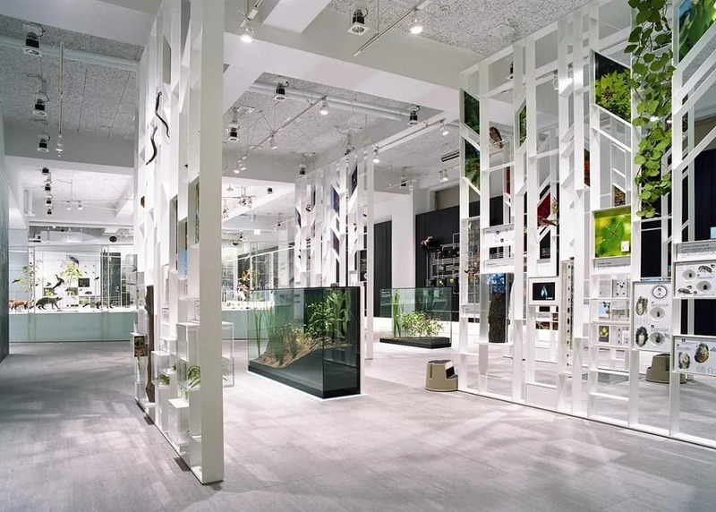 Hành trình khám phá thành phố Kawasaki Nhật Bản tự túc 16