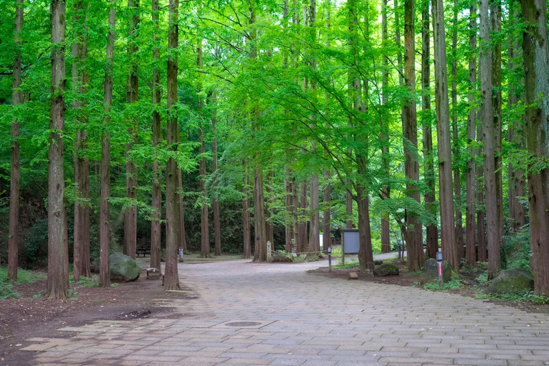 Hành trình khám phá thành phố Kawasaki Nhật Bản tự túc 18