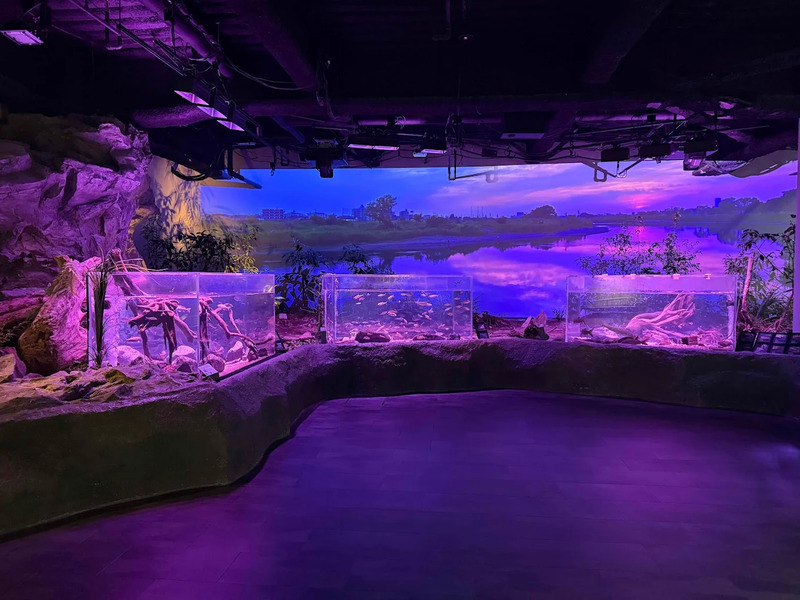 Hành trình khám phá thành phố Kawasaki Nhật Bản tự túc 4