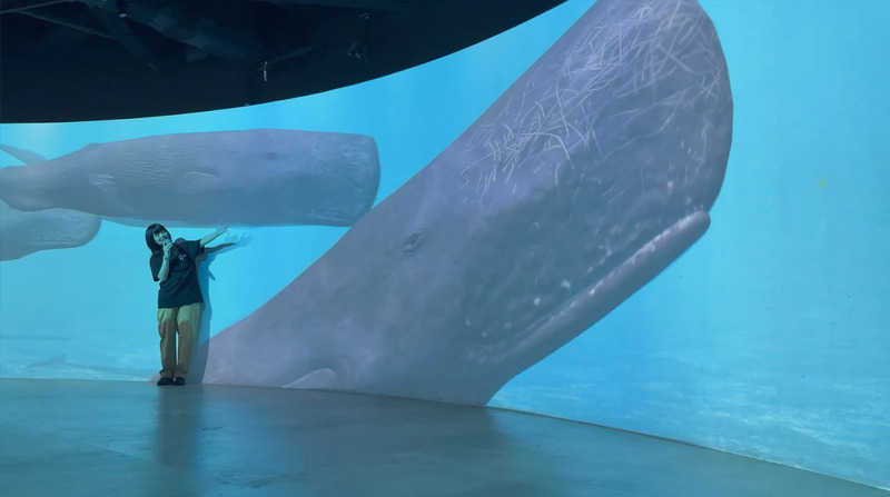 Hành trình khám phá thành phố Kawasaki Nhật Bản tự túc 6