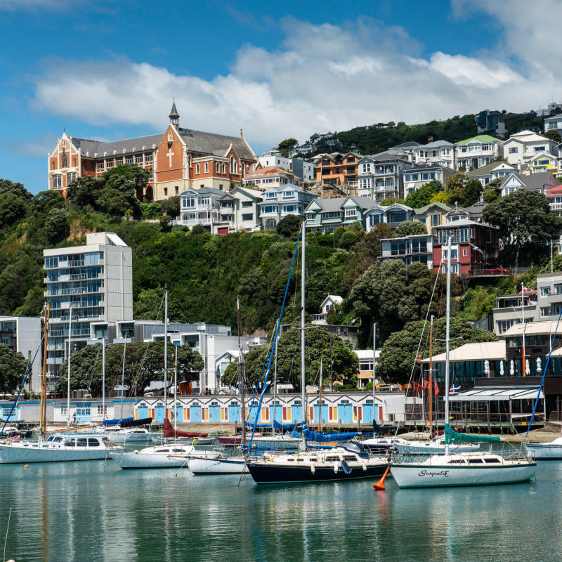 Một ngày khám phá thành phố Wellington đầy gió ở New Zealand 4