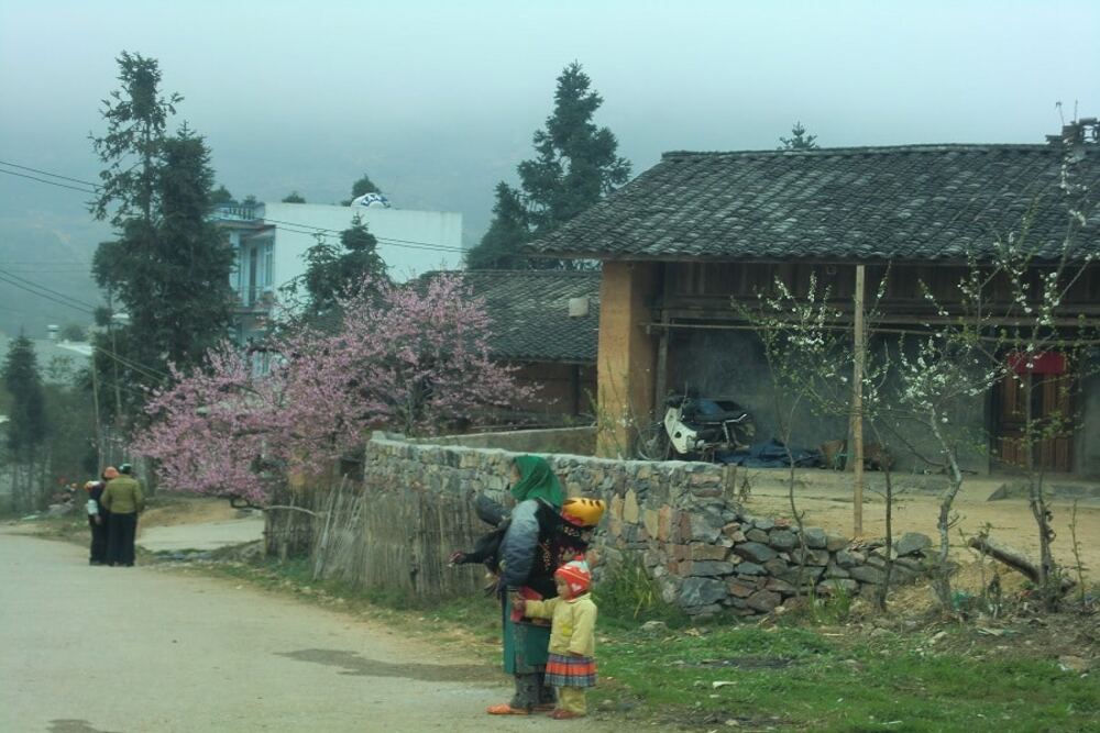 Khám phá thị trấn Phó Bảng cổ kính ẩn mình trong vùng cao Hà Giang 7