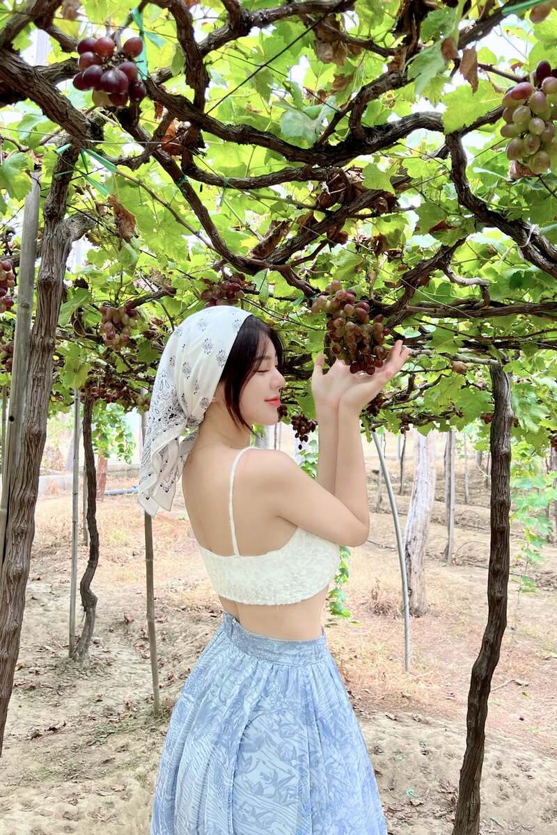 Khám phá Vườn nho Ba Mọi đẹp như cổ tích của xứ Phan Rang 3