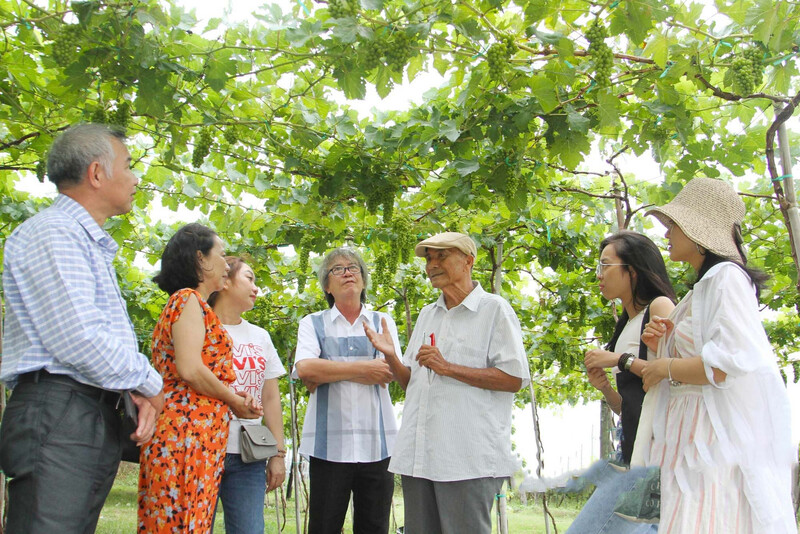 Khám phá Vườn nho Ba Mọi đẹp như cổ tích của xứ Phan Rang 9
