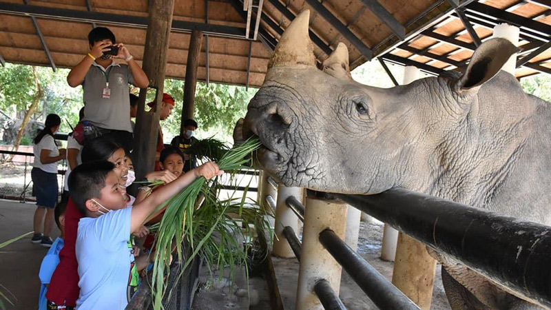 Khám phá Khao Kheow Open Zoo, hành trình chinh phục vẻ đẹp hoang dã 3