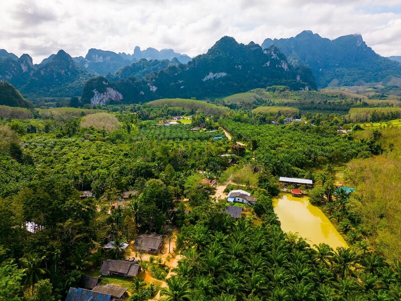 Vườn quốc gia Khao Sok tiên cảnh giữa những ngọn núi đá vôi Thái Lan 7
