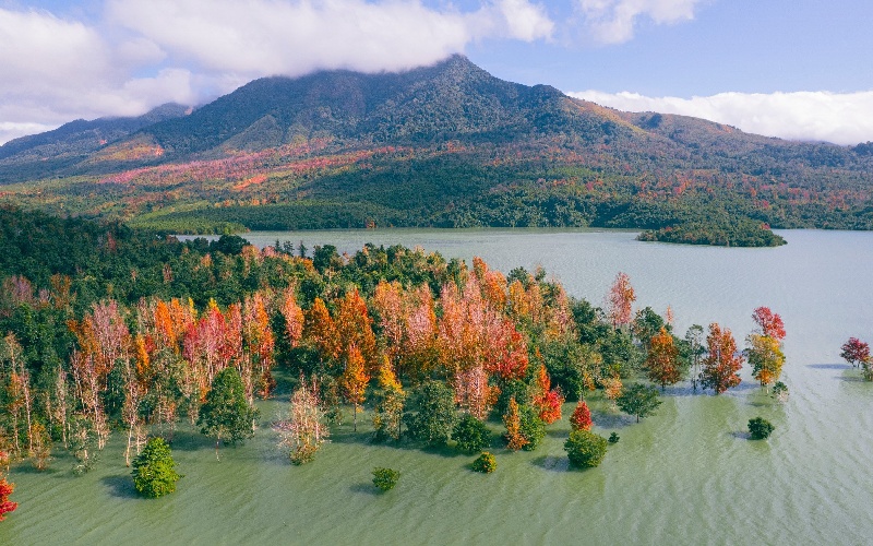 Khe Sanh ở đâu? Kinh nghiệm đi Khe Sanh Quảng Trị từ A–Z 2