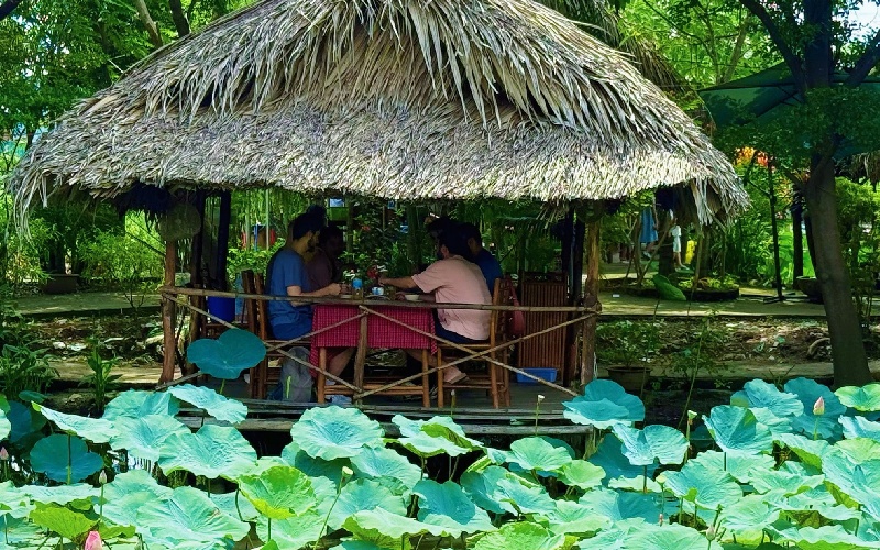 Trải nghiệm khu ẩm thực sinh thái Sen Nam Bộ giữ lòng Sài Gòn 2