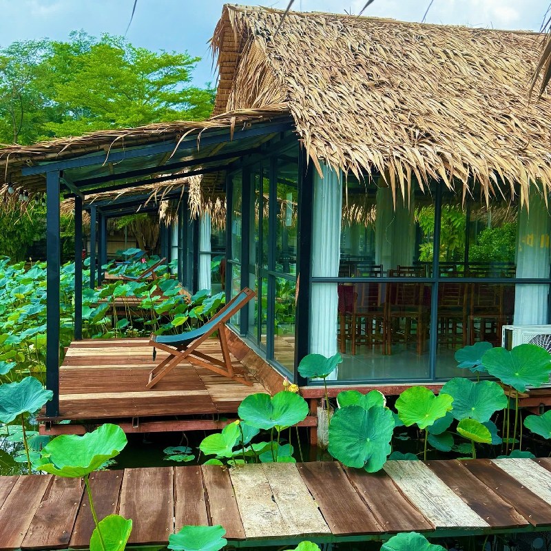 Trải nghiệm khu ẩm thực sinh thái Sen Nam Bộ giữ lòng Sài Gòn 3