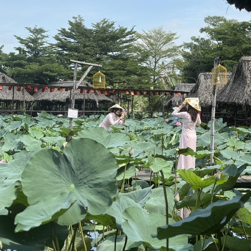 Trải nghiệm khu ẩm thực sinh thái Sen Nam Bộ giữ lòng Sài Gòn 5