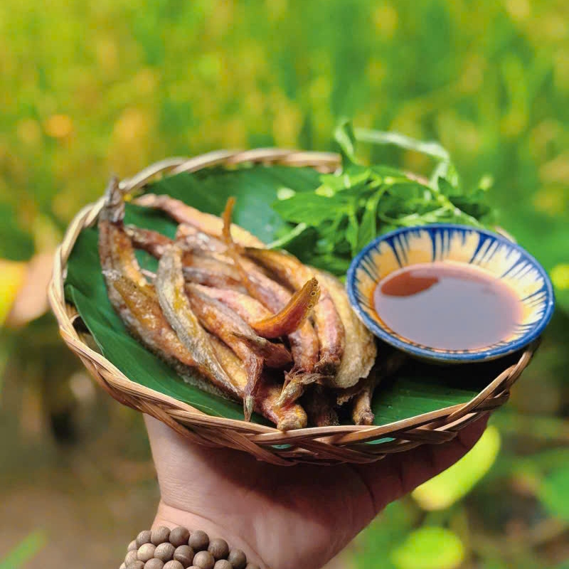 Trải nghiệm khu ẩm thực sinh thái Sen Nam Bộ giữ lòng Sài Gòn 8