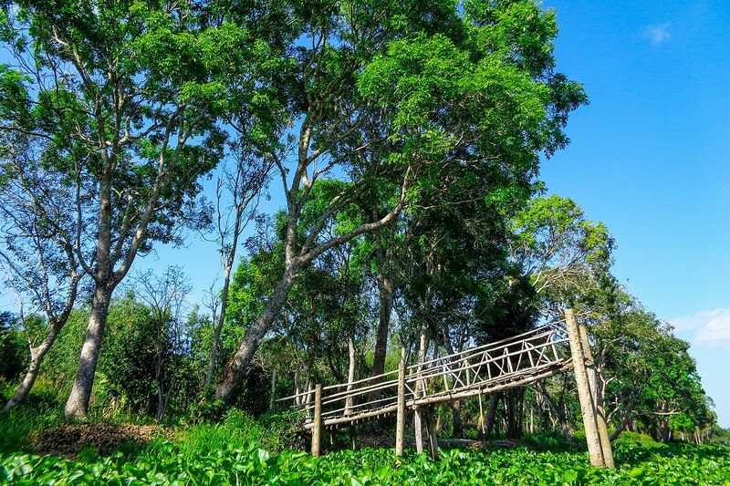 Khu bảo tồn thiên nhiên Lung Ngọc Hoàng lá phổi xanh của Hậu Giang 2