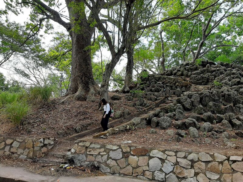 Khu di tích Núi Đất Long An: Điểm đến xanh giữa Đồng Tháp Mười 10