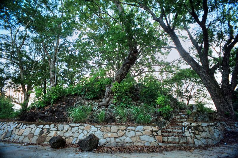 Khu di tích Núi Đất Long An: Điểm đến xanh giữa Đồng Tháp Mười 5