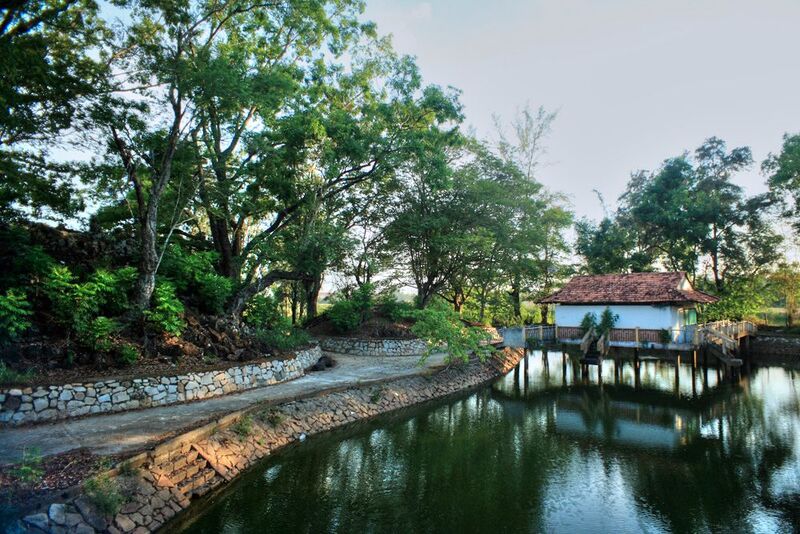 Khu di tích Núi Đất Long An: Điểm đến xanh giữa Đồng Tháp Mười 7