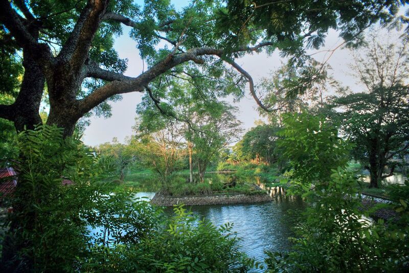 Khu di tích Núi Đất Long An: Điểm đến xanh giữa Đồng Tháp Mười 9