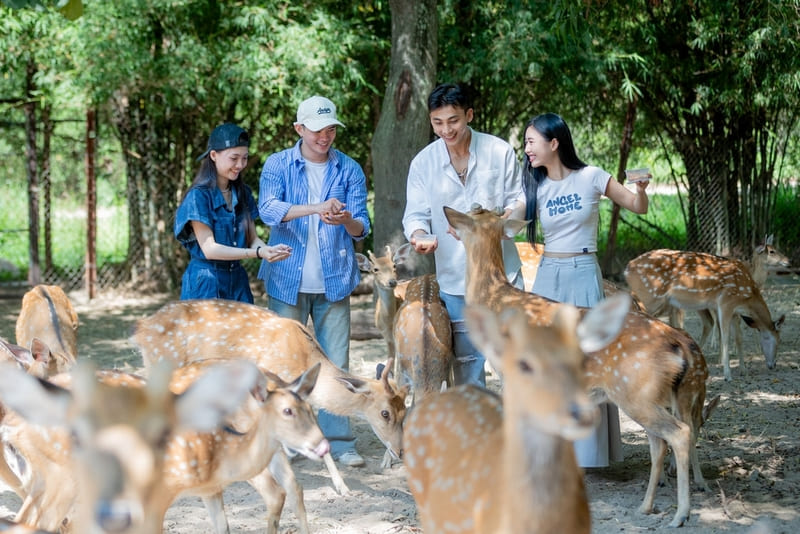 Có gì tại Khu du lịch Đảo Hoa Lan, thiên đường ven biển cực gần Nha Trang? 5