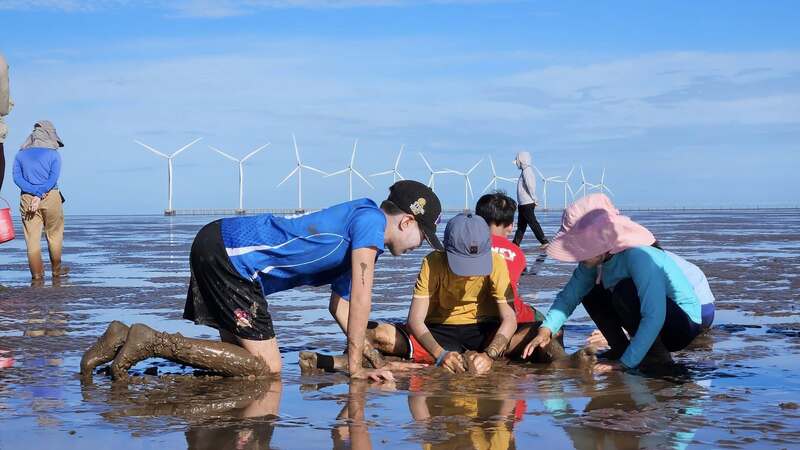 Khu du lịch Điện gió Hòa Bình 1 nơi công nghệ hòa hợp với thiên nhiên 12
