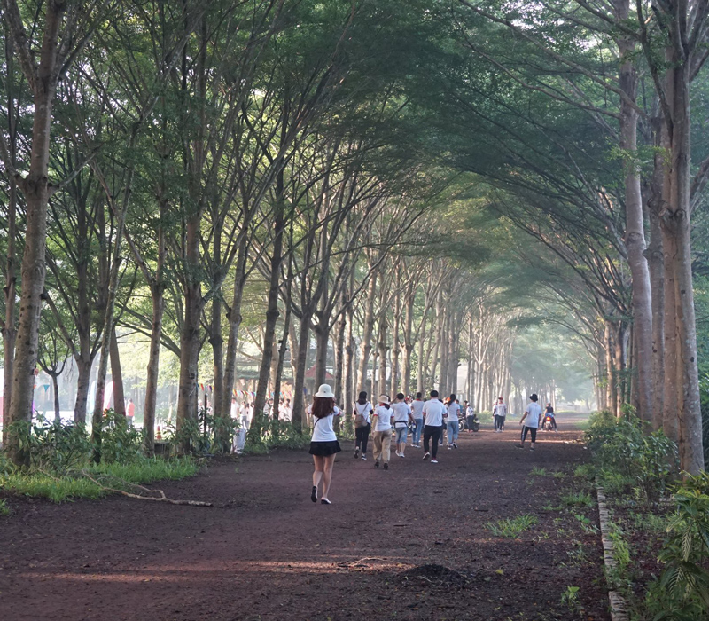 Khu du lịch sinh thái Củ Chi Fosaco tái hiện trọn vẹn bản sắc núi rừng Tây Nguyên