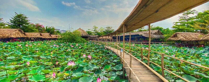 Top 13 khu du lịch sinh thái miệt vườn xanh mát giữa lòng TP.HCM 11
