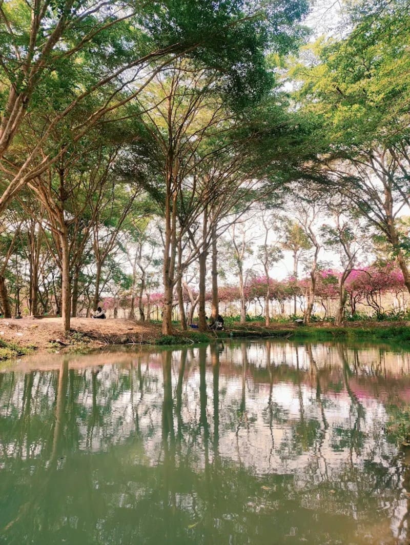 Top 13 khu du lịch sinh thái miệt vườn xanh mát giữa lòng TP.HCM 13