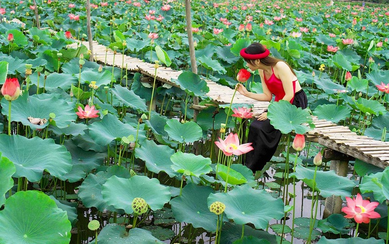 Top 13 khu du lịch sinh thái miệt vườn xanh mát giữa lòng TP.HCM 6