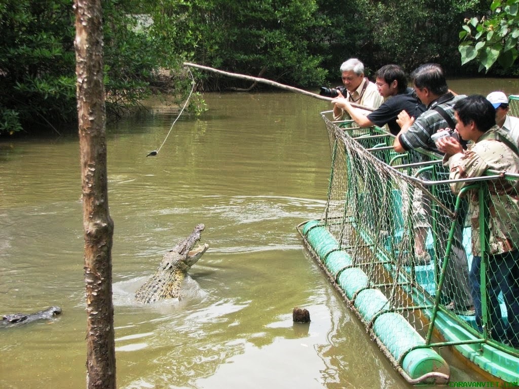 Về với thiên nhiên tại khu du lịch sinh thái Vàm Sát Cần Giờ 10