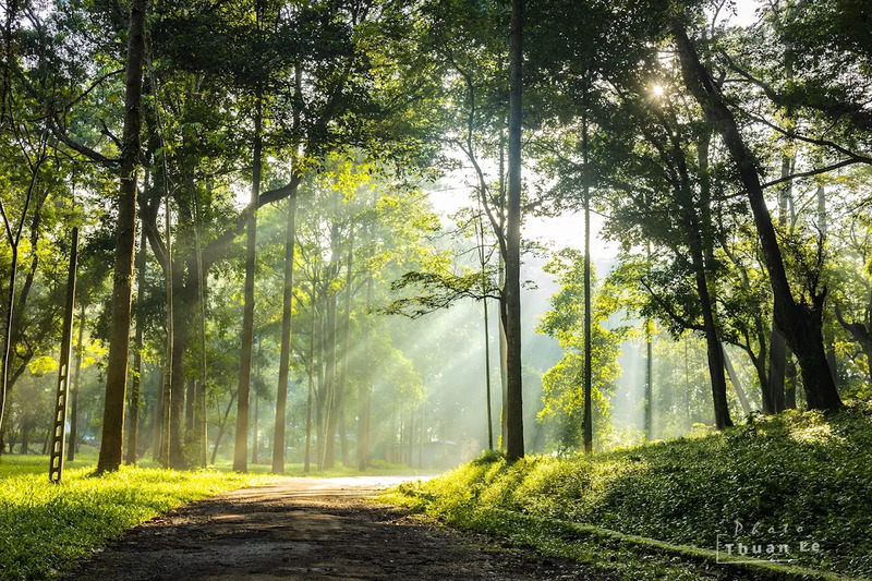 Khu du lịch Suối Tre, hành trình tìm về ký ức Pháp cổ 2