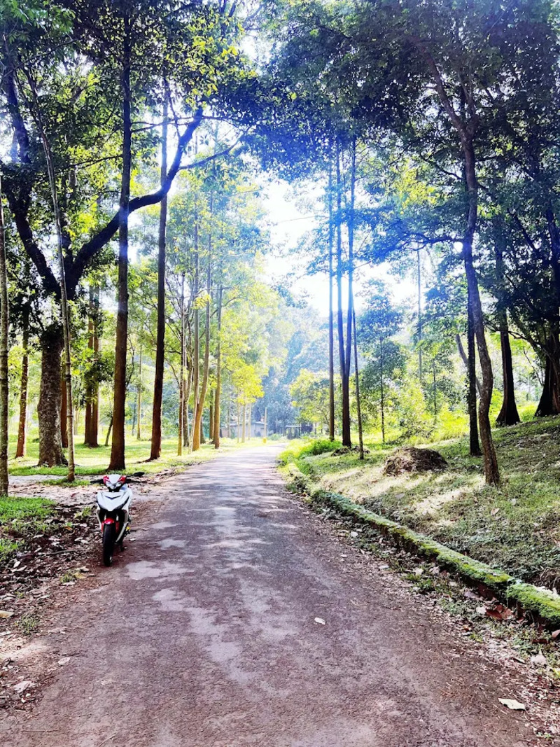 Khu du lịch Suối Tre, hành trình tìm về ký ức Pháp cổ 7