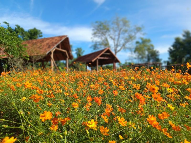 Khu du lịch Troh Bư, nơi lưu giữ vẻ đẹp hùng vĩ của Đắk Lắk 7