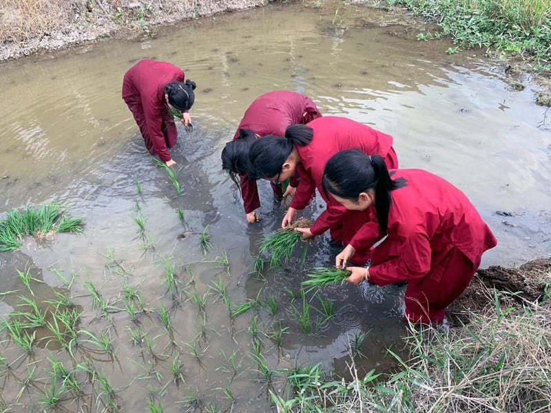 Cẩm nang khám phá Khu du lịch Văn hóa Phương Nam Đồng Tháp 9