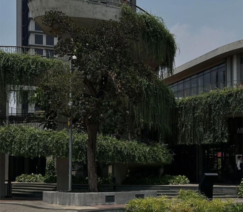 Khu thương mại Hikari: Thiên đường ẩm thực và giải trí độc đáo nhất Thành phố Mới 3