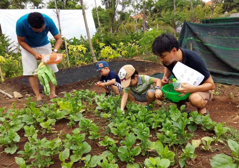 Khu thương mại xanh Family Garden độc đáo giữa lòng Sài Gòn 5