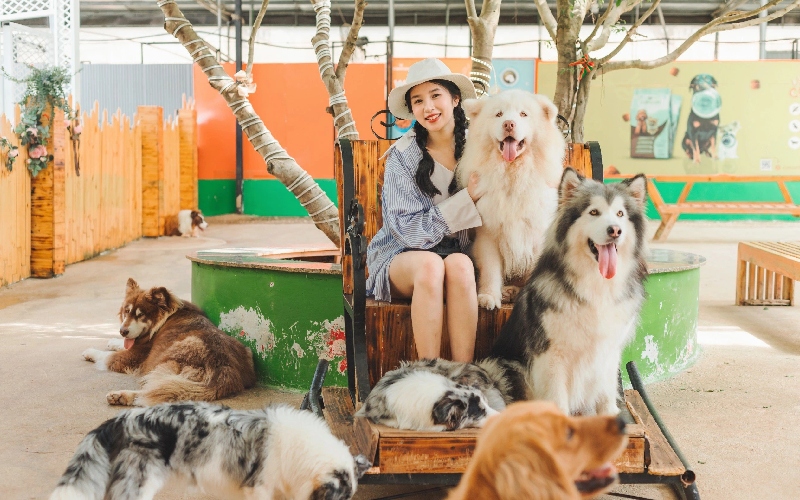 Top 14 khu vui chơi trẻ em ở Đà Lạt thú vị trong dịp hè này 9