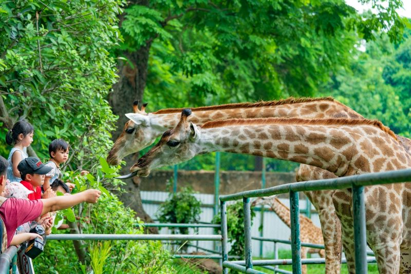 8 khu vui chơi trẻ em TPHCM phù hợp cho các gia đình 3