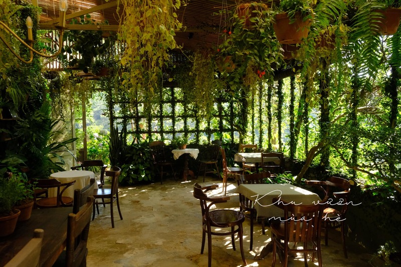 Top 15 quán cafe Đà Lạt xinh đẹp, mộng mơ nhất 11
