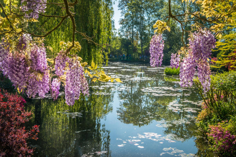 Ghé Giverny và đắm chìm trong khu vườn thơ mộng của Monet 3