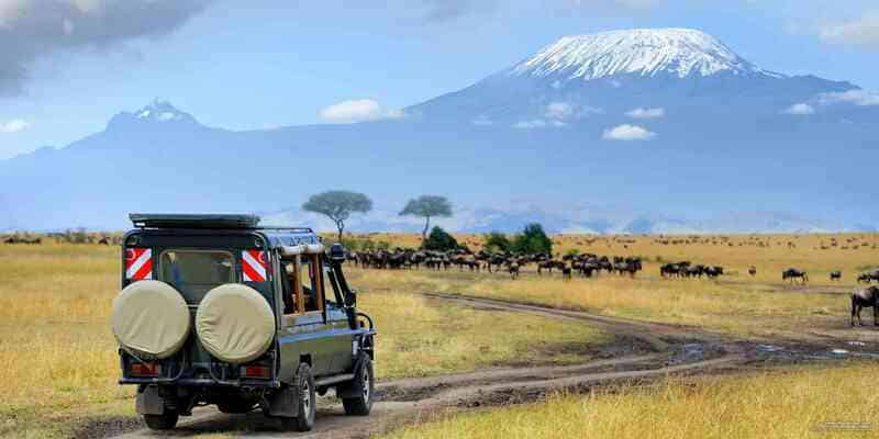 Về Kilimanjaro đi tìm nóc nhà Châu Phi huyền bí 8