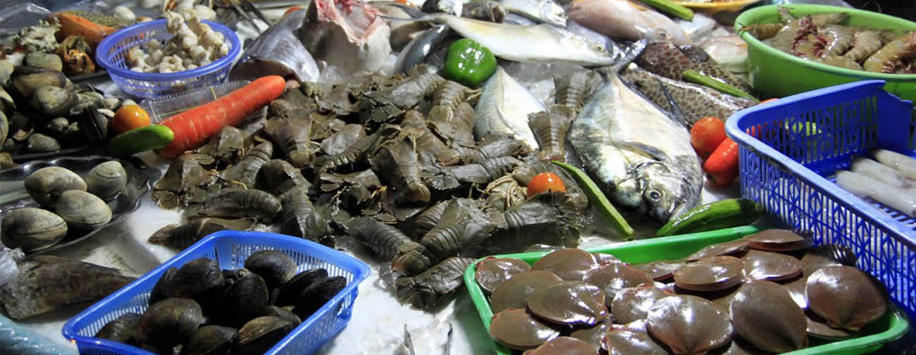 Kinh nghiệm đi chợ hải sản Đồ Sơn để mua đồ ngon với giá phù hợp