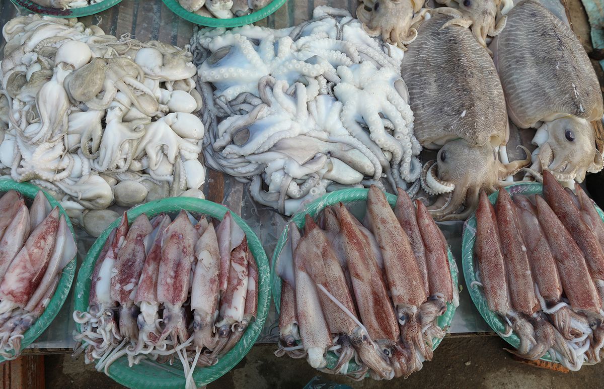 Kinh nghiệm đi chợ hải sản Đồ Sơn để mua đồ ngon với giá phù hợp 4