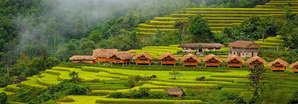 Kinh nghiệm đi du lịch Hoàng Su Phì - Hà Giang tự túc bạn nhất định phải  biết