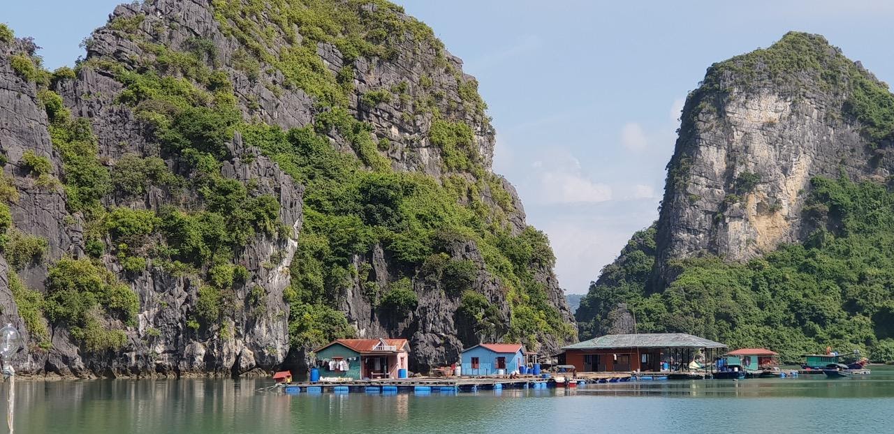 Kinh nghiệm đi làng chài Hạ Long và những điều cần biết 2