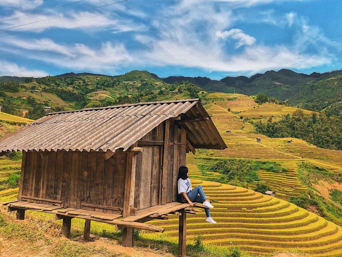 Kinh nghiệm đi Mù Cang Chải mùa lúa chín để không bỏ lỡ khoảnh khắc vàng 6