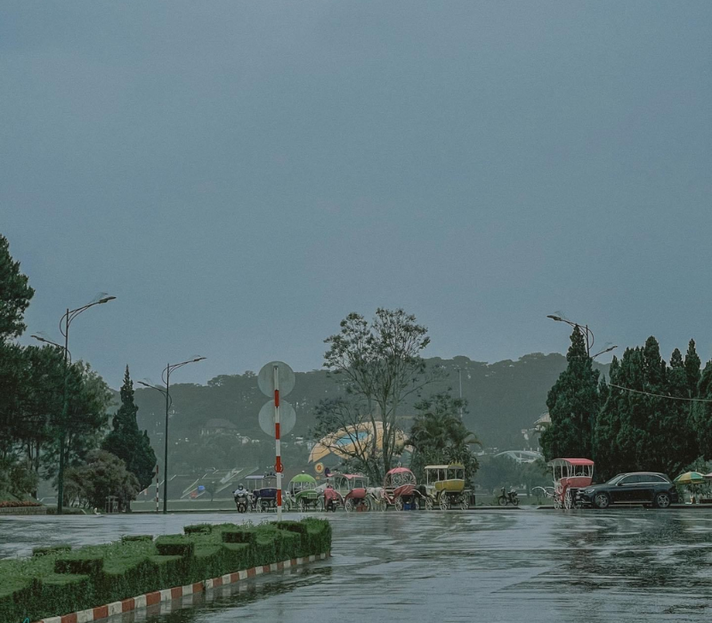 Mùa mưa Đà Lạt: Cẩm nang du lịch, kinh nghiệm và những trải nghiệm không thể bỏ lỡ 5