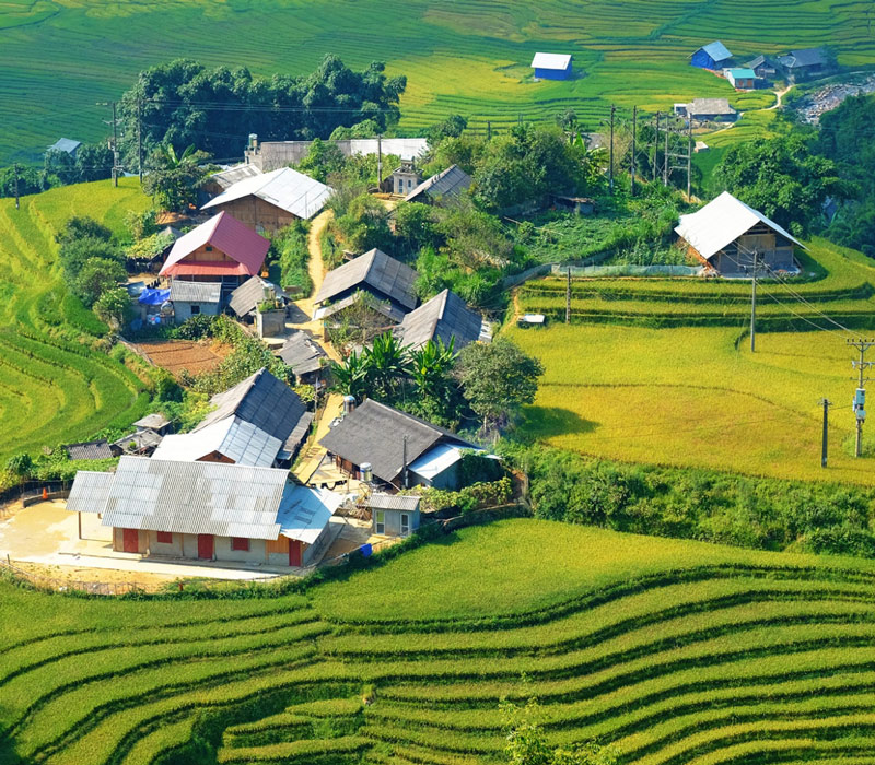 Kinh nghiệm du lịch Sapa tháng 8, săn mây đại ngàn và lúa non xanh mướt