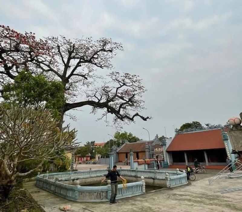 Du lịch Xuân Trường Nam Định: Cẩm nang trải nghiệm vùng đất 'địa linh nhân kiệt' 2