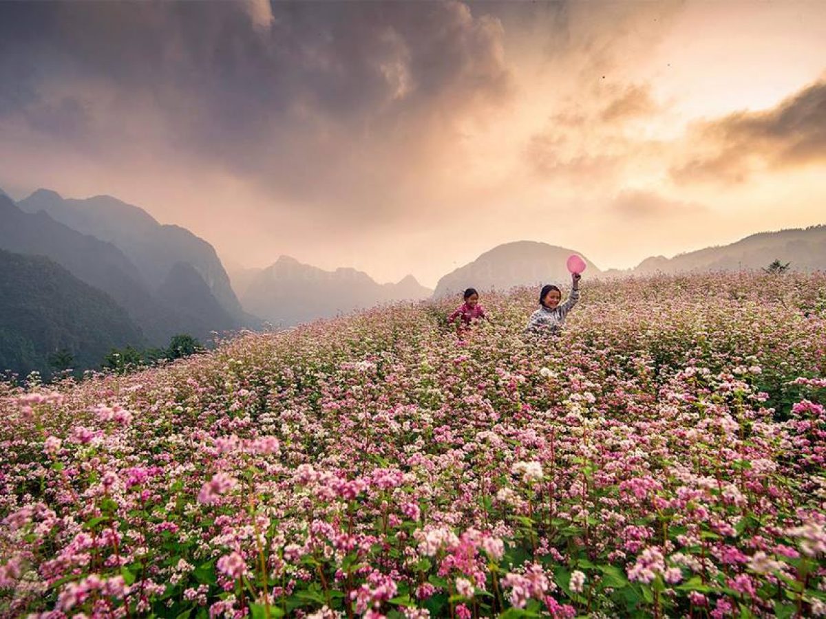 Kinh nghiệm khám phá Phó Bảng Hà Giang tự túc ai cũng nên biết 5