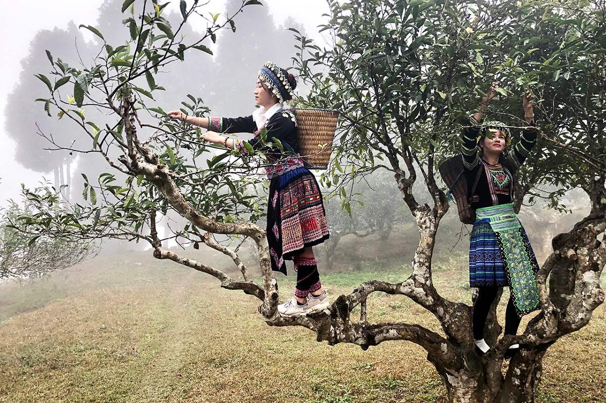 Kinh nghiệm phượt Suối Giàng tự túc cho người mới đi lần đầu 3