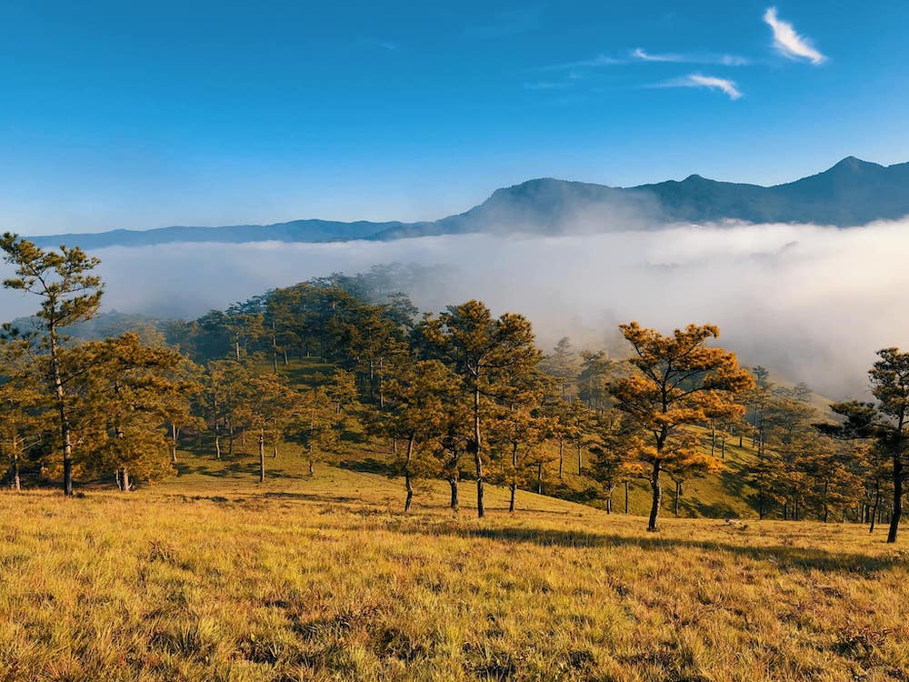 Kinh nghiệm săn mây trên đồi Đa Phú chi tiết và đầy đủ nhất 12